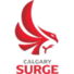 卡尔加里浪涌logo