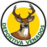 维纳多斯竞技logo